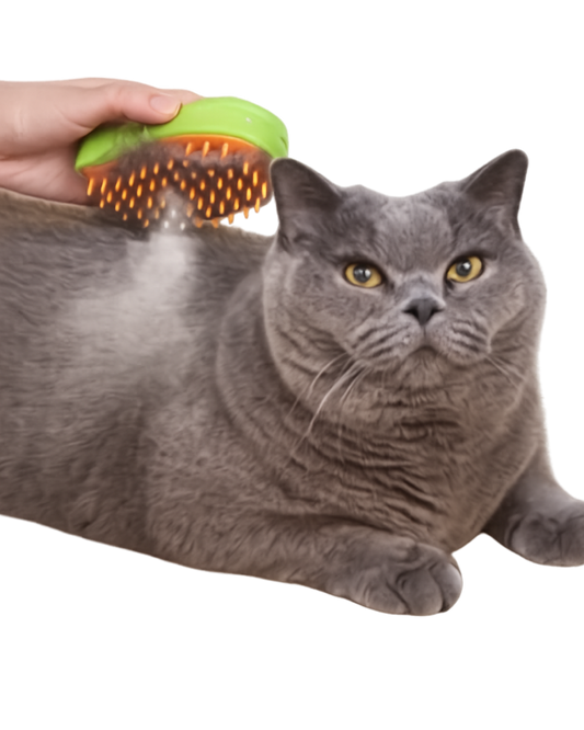 Cepillo Mascotas con vaporizador